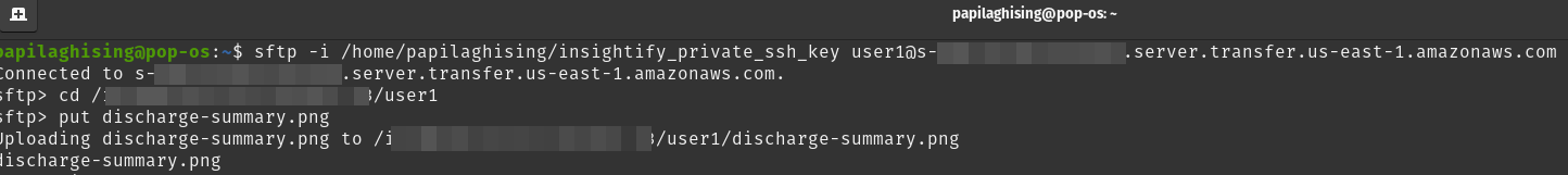 Testing SFTP server connection and file upload