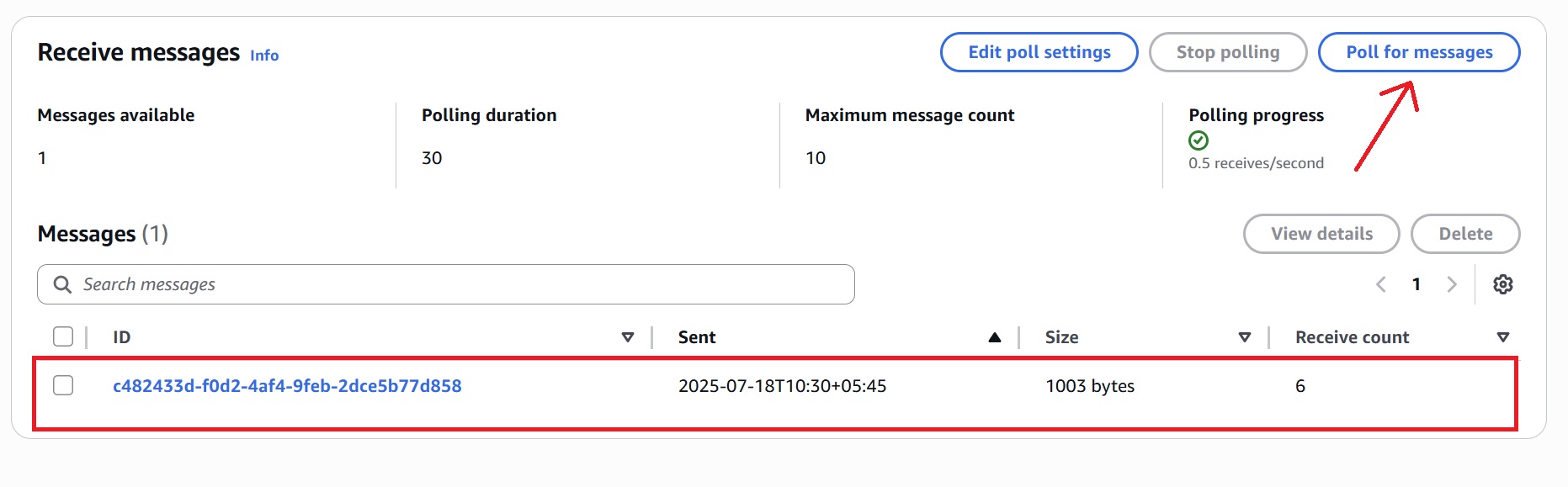 Failed Message Arrived in the Queue